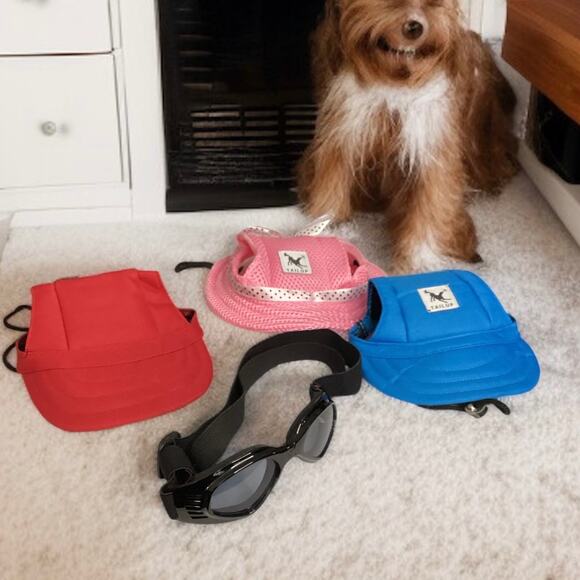Dog Accessories, Medium Sized Hats and Black Adjustable Wind Goggles, Set of 4 - Picture 1 of 7